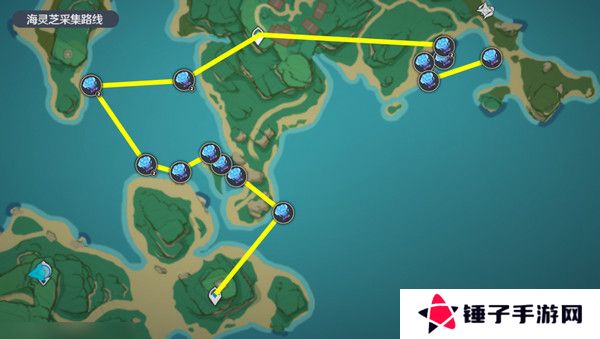 原神梦见月瑞希突破材料收集攻略 梦见月瑞希突破材料在哪里[多图]图片8