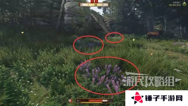 天国拯救2图文攻略大全   所有任务全流程攻略总汇图片29