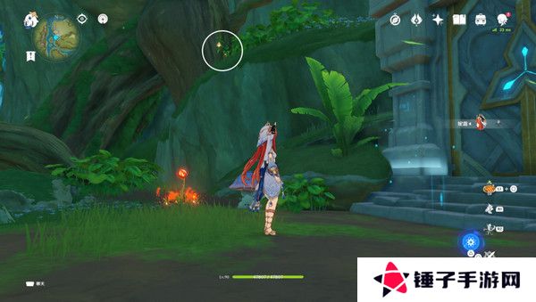 原神生不出的花隐藏成就攻略 生不出的花骗骗花在哪里收集[多图]图片8