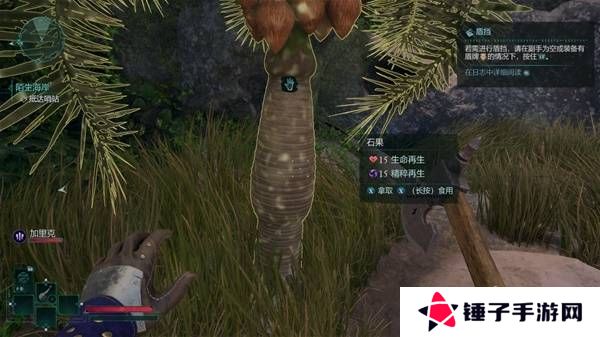 宣誓游戏图文攻略大全   主线