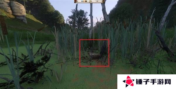 天国拯救2宝藏位置总汇  全部宝藏点