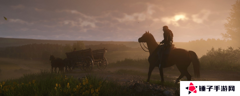 天国拯救2鸟窝怎么打下来   掏鸟窝有什么用图片2