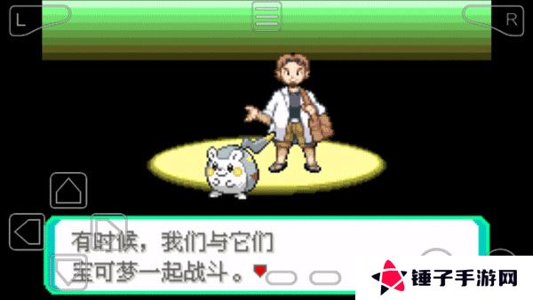 宝可梦究极绿宝石5.5