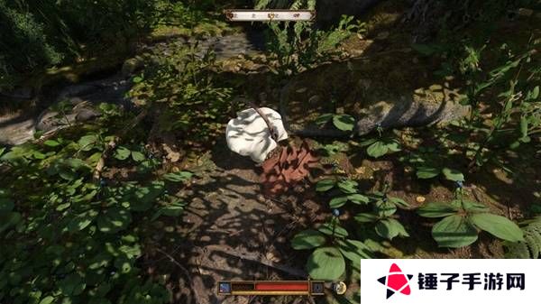 天国拯救2颠茄哪里多  颠茄和四叶重楼草药采集点分享图片2