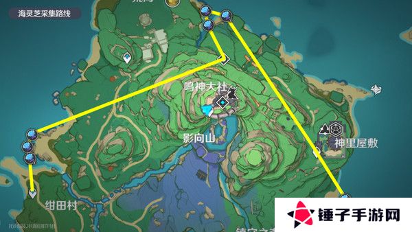 原神梦见月瑞希突破材料收集攻略 梦见月瑞希突破材料在哪里[多图]图片13