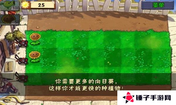 植物大战僵尸95版正版