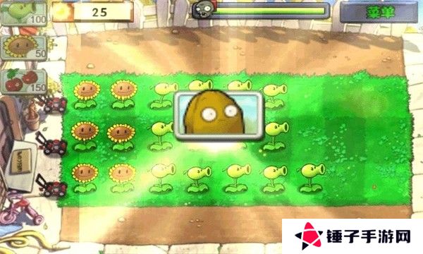 植物大战僵尸95版正版