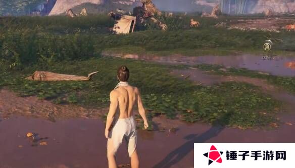 燕云十六声武器怎么隐藏   弓箭怎么隐藏图片6