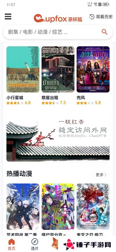 茶杯狐 Cupfox 茶杯狐