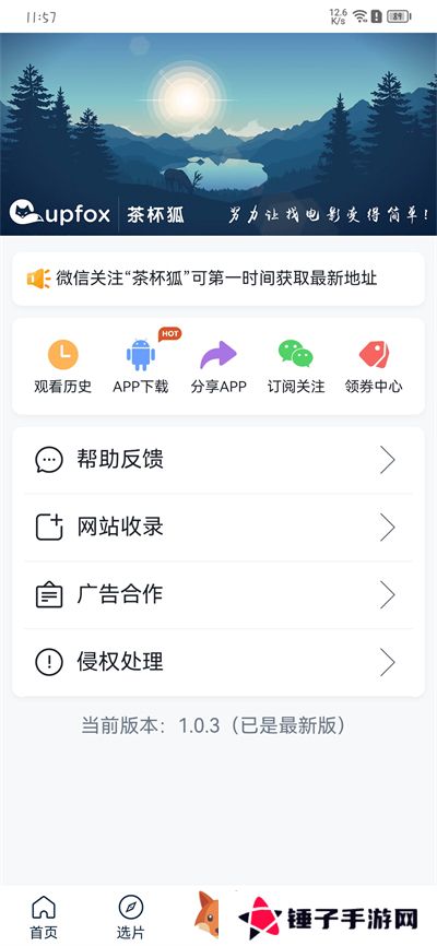 茶杯狐 Cupfox 茶杯狐