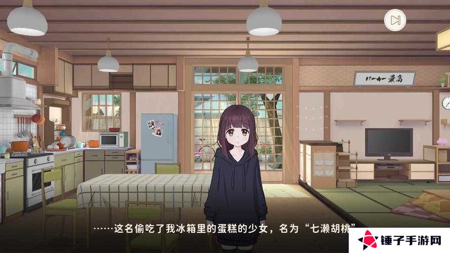 胡桃日记，探索冰箱贴纸的奇妙获取之旅