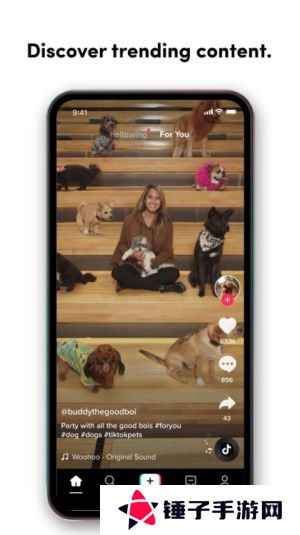 抖音国际版tiktok