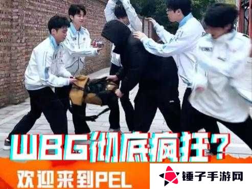 PEL总决赛Day1 深度解析，酷酷假动作逆天改命，P城大战NV惜败WBG错失首鸡