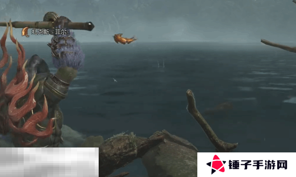 怪物猎人荒野大王旗鱼怎么获得 大王旗鱼获取方法
