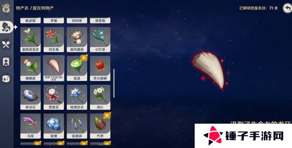 原神奇异的牙齿任务攻略 奇异的牙齿4个收集点位[多图]图片4