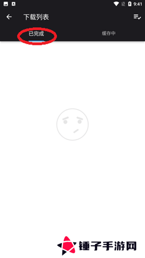 查看下载的电视剧教程截图3