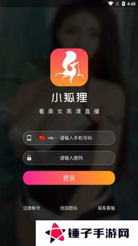 小狐狸直播