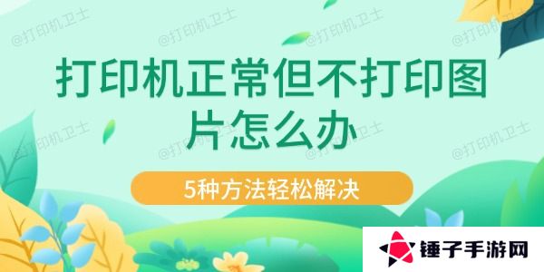 打印机正常但不打印图片怎么办