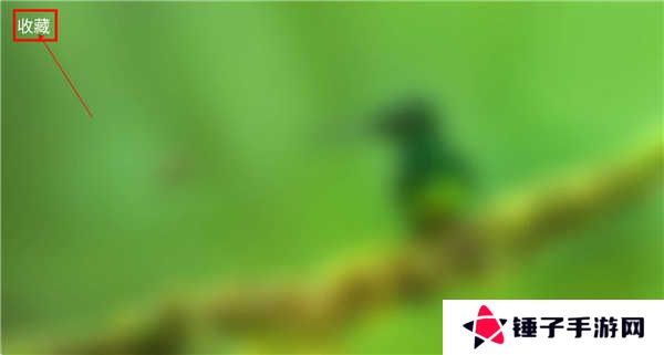 春天影视盒子截图