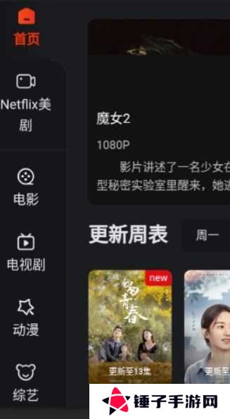 大米星球netflix