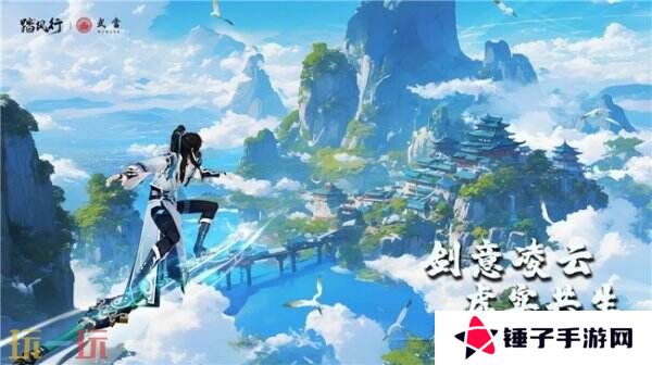 踏风行九霄，太极会武当 