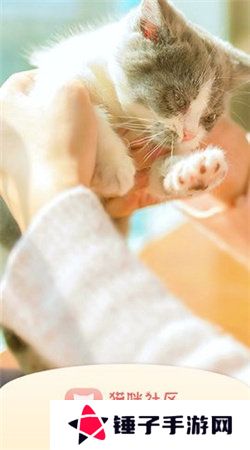 猫咪社区gps