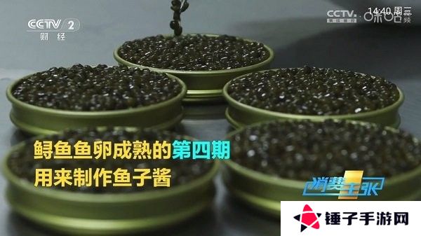 Pn播放器