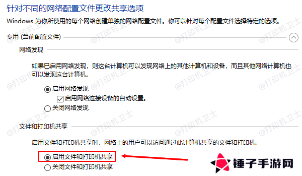 启用文件和打印机共享