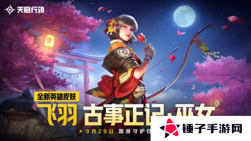 天启行动8