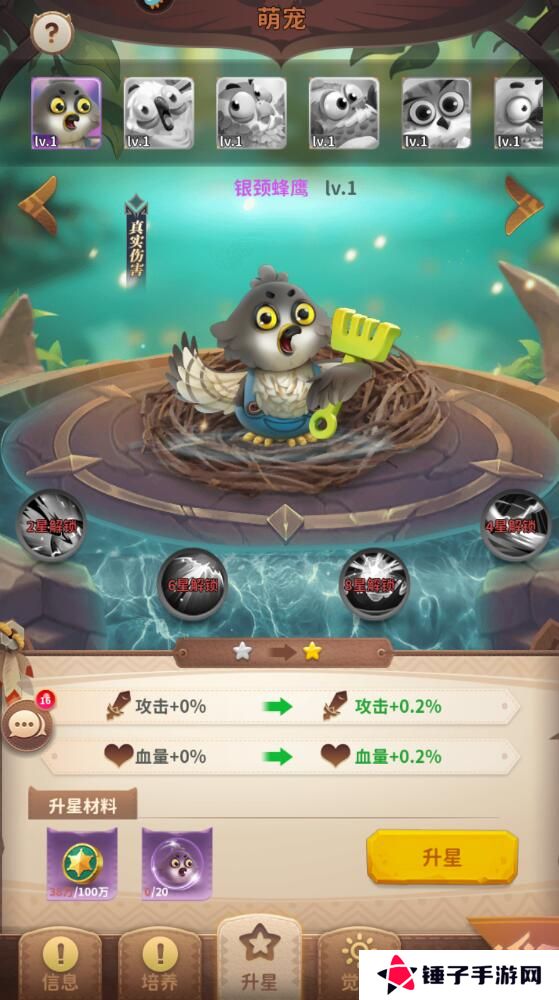小鸟爱飞翔手游战斗力变强攻略