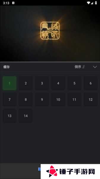 狮子影评