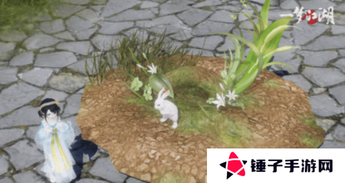 一梦江湖5