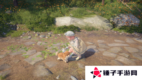 无限暖暖9