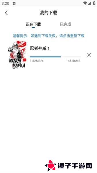 雪豹视频图片7