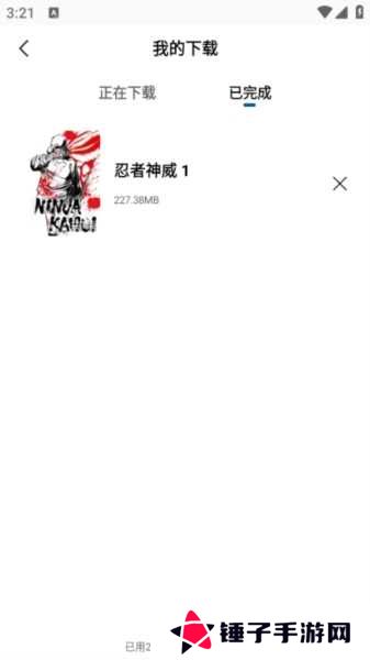 雪豹视频图片8