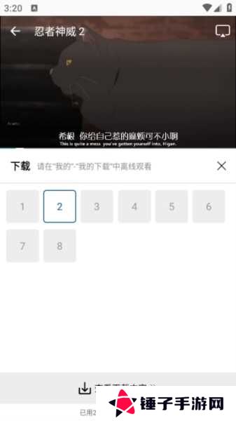 雪豹视频图片6