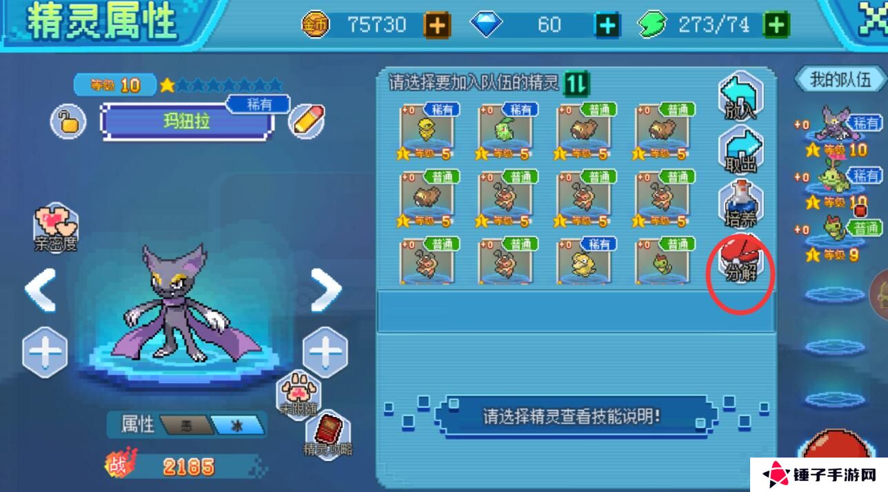 口袋新世代怎么重置精灵？