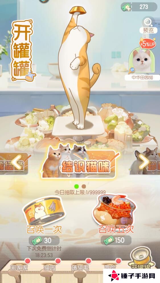 超喵星计划新手快速升级攻略