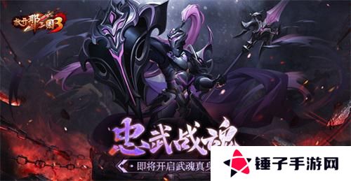 放开那三国31