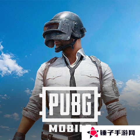 pubg国际服