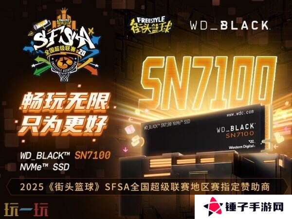 畅玩无限 WD_BLACK助力《街头篮球》SFSA全国超级联赛