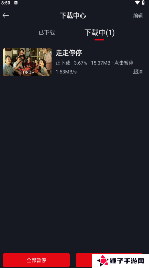 网飞猫