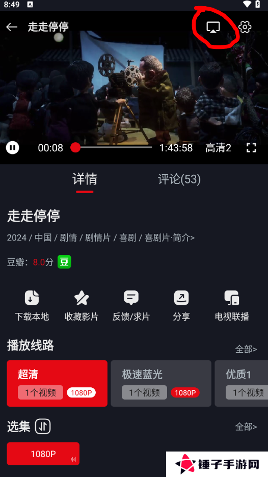 网飞猫